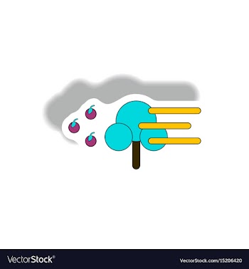 Storm and tree hurricane disaster vector image