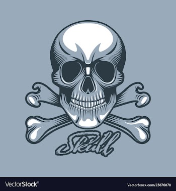  					Straight looking skull with bones and inscription vector image														