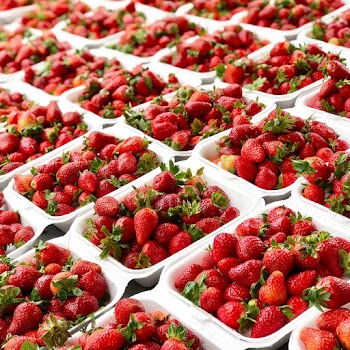 Strawberries in Packaging Containers 