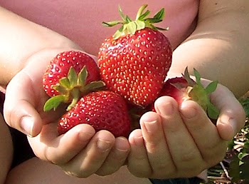 strawberries.JPG