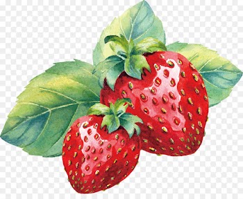 Strawberry Aedmaasikas Amorodo Watercolor painting - Vector painted strawberry 