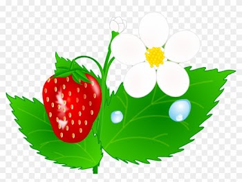 Strawberry Flower Jh Clip Art At Clipart - Strawberry Flower Clipart
