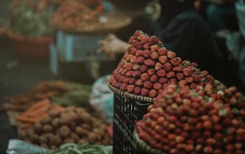 Strawberry Focus Photo