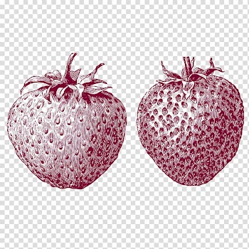 Strawberry Food Aedmaasikas, Strawberry fruit food transparent background PNG clipart