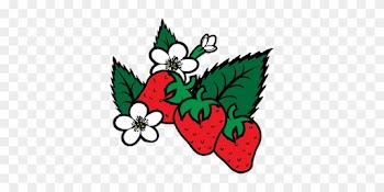Strawberry Fragaria Berry Food Plants Flow - Strawberry Plant Clip Art