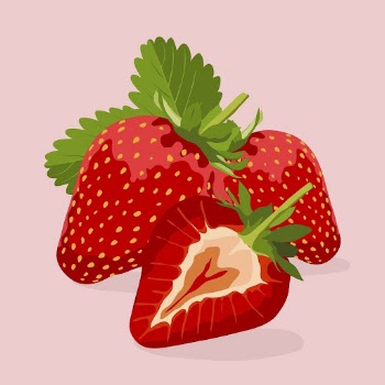 Strawberry fruit clipart, realistic illustration | Free Photo Illustration - rawpixel