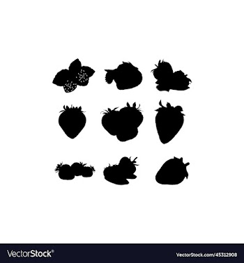 strawberry fruit fresh set design