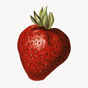 Strawberry fruit, isolated food illustration | Free Photo - rawpixel