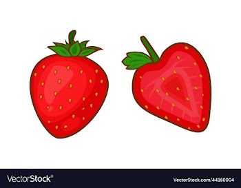 strawberry fruit slice