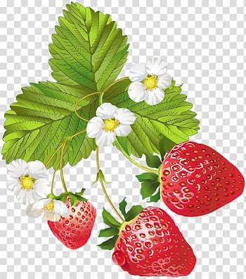 Strawberry ice cream Fruit , blooming transparent background PNG clipart