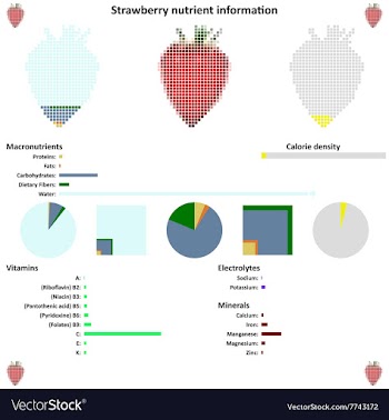 Strawberry mosaic and nutrient information vector image