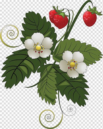 Strawberry pie Fruit , Flower vine transparent background PNG clipart