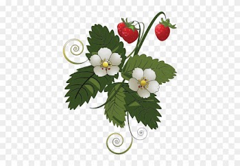 Strawberry Plant Vector Image Public Domain Vectors - Strawberry Tree Clip Art