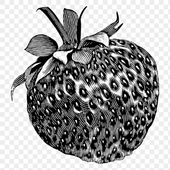 Strawberry png sticker vintage fruit | Free PNG - rawpixel