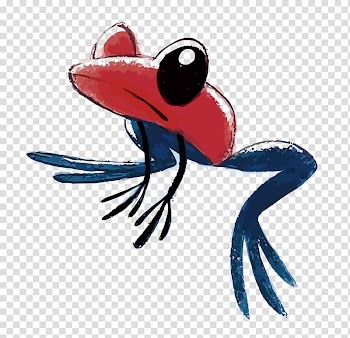 Strawberry poison-dart frog Poison dart frog Drawing , tree frogs transparent background PNG clipart