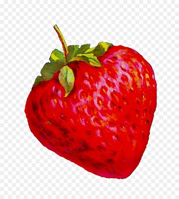 Strawberry Rhubarb pie Berries Clip art Fruit -  
