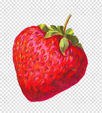 Strawberry Shortcake Fruit , berries transparent background PNG clipart