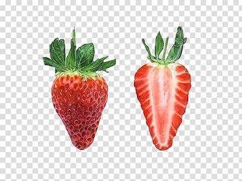 Strawberry Tart Watercolor painting, Red strawberry transparent background PNG clipart