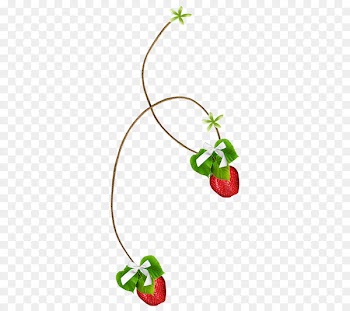 Strawberry tree Fruit Berries - strawberry 