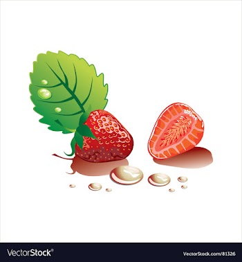 Strawberry vector image