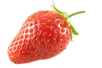 strawberry1.jpg