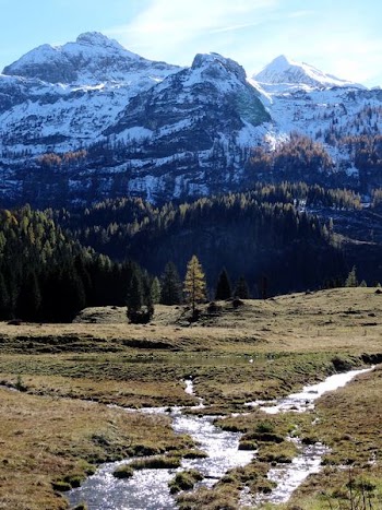 stream, lake, and alps during daytime