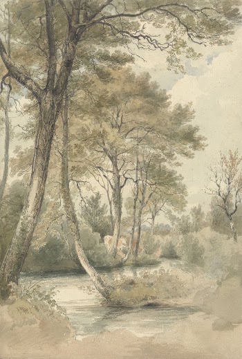 Stream with Trees and Cattle | Free Photo - rawpixel