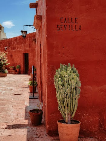 street building desert house
