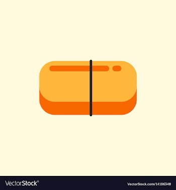 Street food flat style vector image