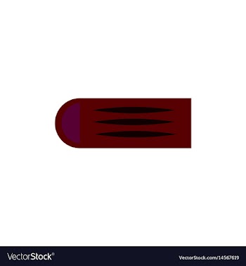 Street food flat style vector image