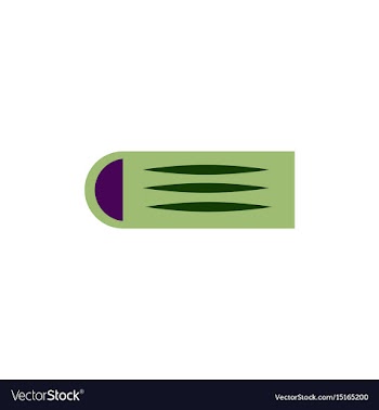 Street food flat style vector image