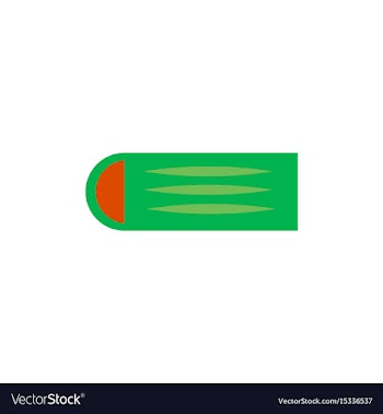 Street food flat style vector image