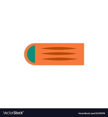Street food flat style vector image