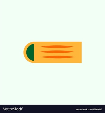 Street food flat style vector image