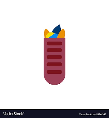 Street food sandwich in baguette flat style vector image
