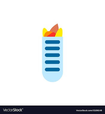 Street food sandwich in baguette flat style vector image