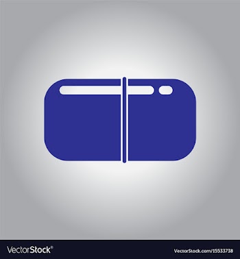 Street food vector image