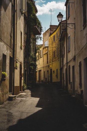street in shallow focus photography