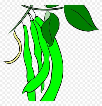 String Beans Clip Art Green French Bean Clip Art At - Green Beans Leaf Clipart