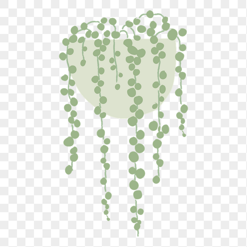 String of pearl png doodle | Free PNG - rawpixel