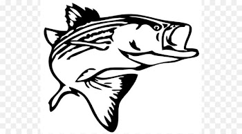 Striped bass fishing Decal Clip art - Bass Jumping Cliparts 