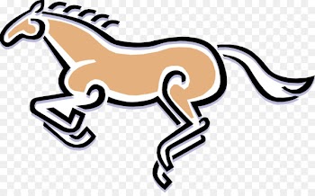 Stroke Horse Child Chinese characters Drawing - horse 