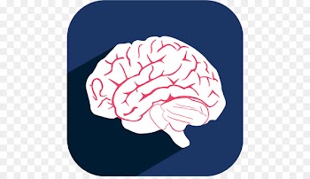 Stroke Neurosurgery Physical therapy brain Paralysis - cerebrum icon 