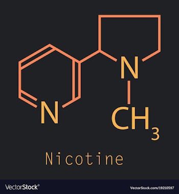 Structural chemical molecular formula and model vector image