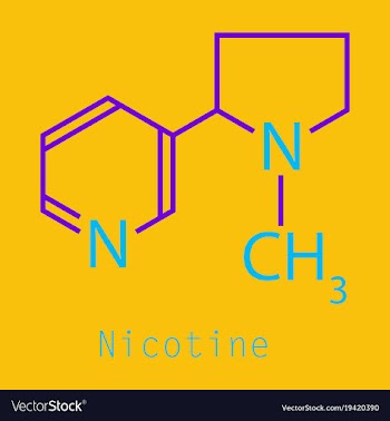 Structural chemical molecular formula and model vector image