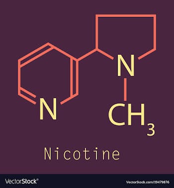 Structural chemical molecular formula and model vector image