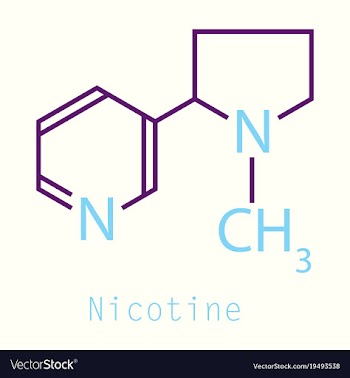 Structural chemical molecular formula and model vector image