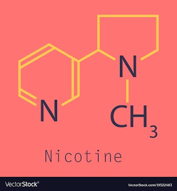 Structural chemical molecular formula and model vector image