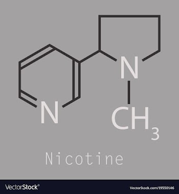 Structural chemical molecular formula and model vector image