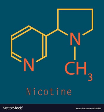 Structural chemical molecular formula and model vector image